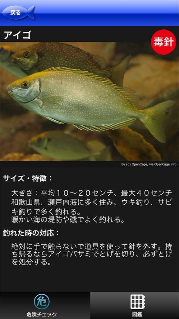 Hapyson危険チェックの危険な魚の例