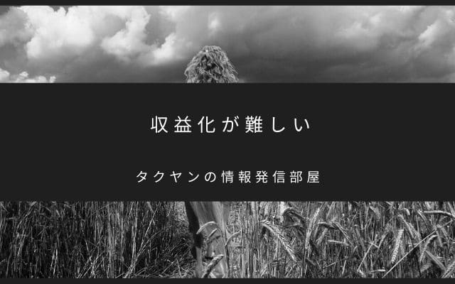 中継地点なので収益化が難しい