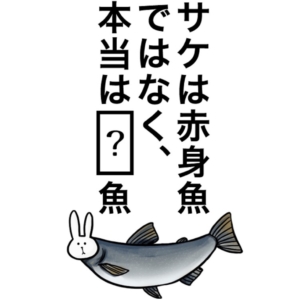 【知ってた？謎解き動物の雑学】　問題の攻略