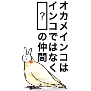 【知ってた？謎解き動物の雑学】　問題の攻略