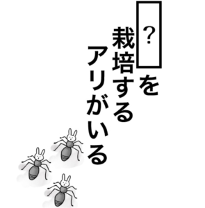 【知ってた？謎解き動物の雑学】　問題17の攻略