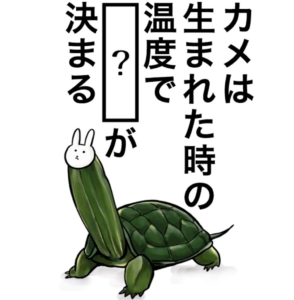 【知ってた？謎解き動物の雑学】　問題15の攻略