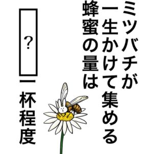 【知ってた？謎解き動物の雑学】　問題21の攻略