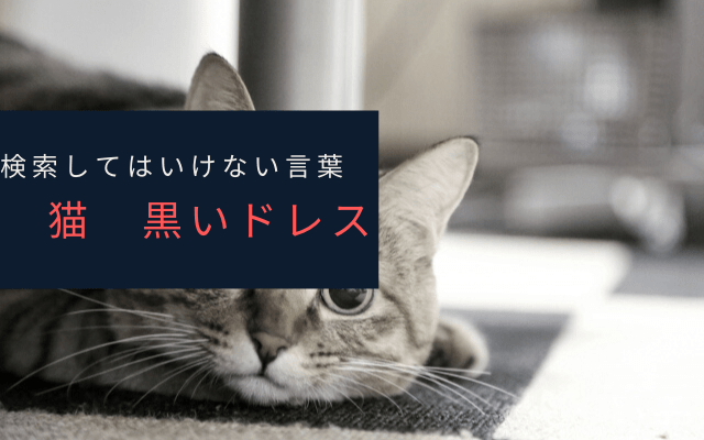 ”猫　黒いドレス”とは？