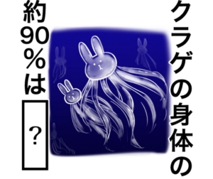 【知ってた？謎解き動物の雑学】　問題84の攻略