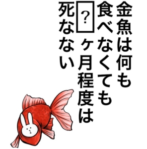 【知ってた？謎解き動物の雑学】　問題74の攻略