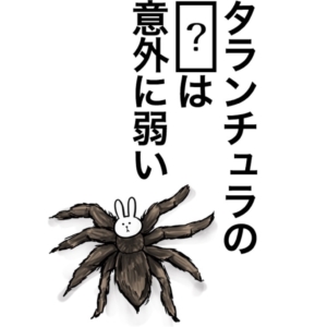 【知ってた？謎解き動物の雑学】　問題72の攻略