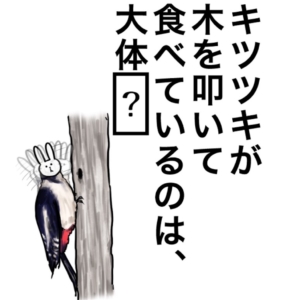 【知ってた？謎解き動物の雑学】　問題69の攻略