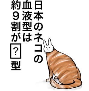 【知ってた？謎解き動物の雑学】　問題64の攻略