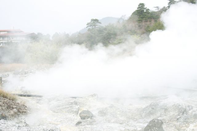 グリーン姉さんの原因は硫化水素自殺?本当にあり得るのか?