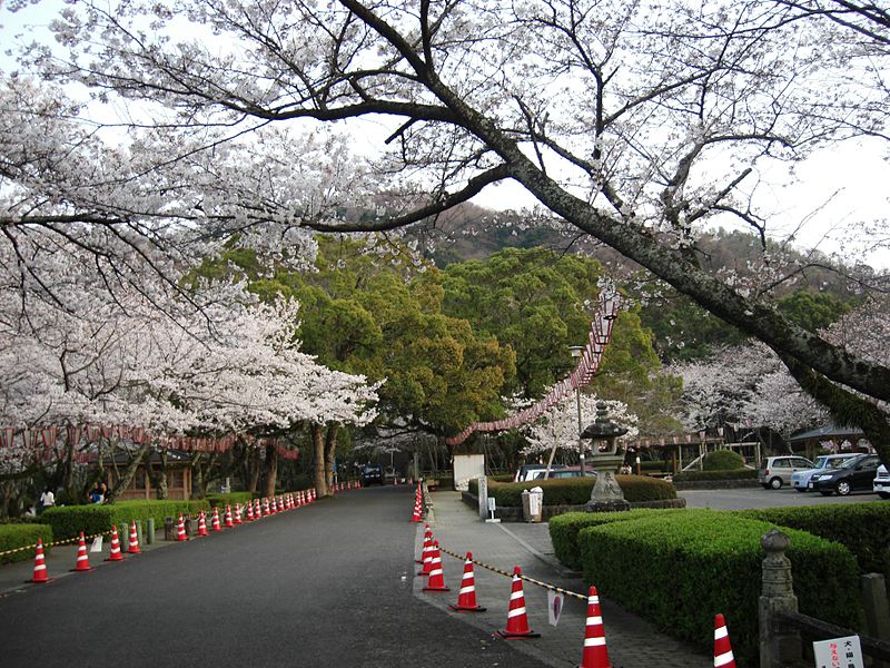 徳島県の心霊スポットの西部公園