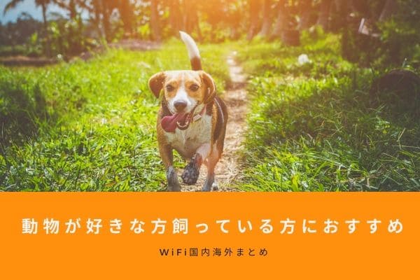 どうぶつWiFiは動物がいる方にはおすすめ。いない方にはお勧めできない