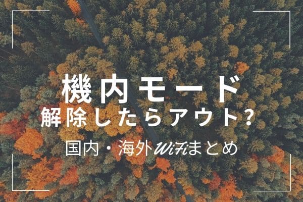 機内モードを解除したらもう駄目なのか？