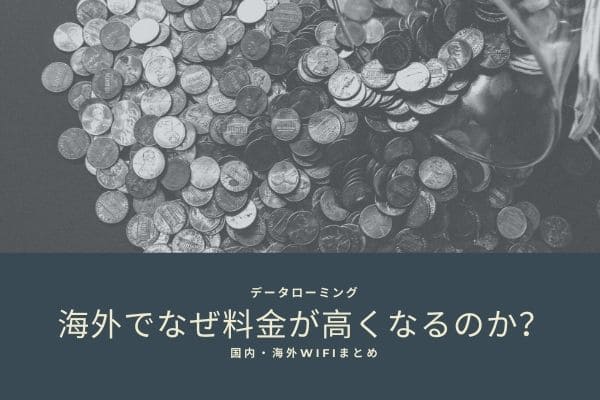 海外でネットを利用するとなぜ料金がなぜ高くなるのか？