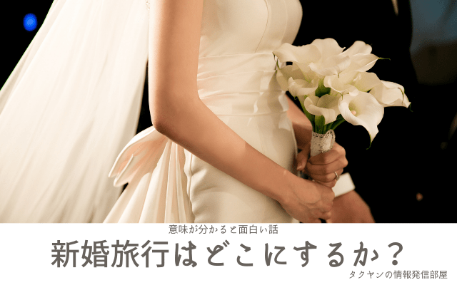 【意味が分かると面白い話】新婚旅行はどこにするか？